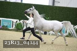 23R13_04144 thumbnail