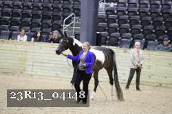 23R13_04148 thumbnail