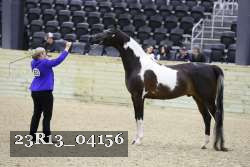 23R13_04156 thumbnail