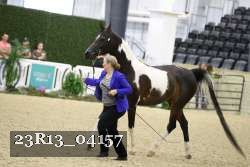 23R13_04157 thumbnail