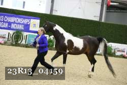 23R13_04159 thumbnail