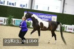 23R13_04160 thumbnail