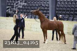 23R13_04165 thumbnail