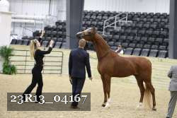 23R13_04167 thumbnail