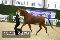 23R13_04172 thumbnail