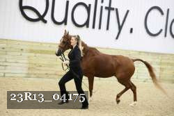 23R13_04175 thumbnail