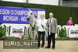 23R13_04177 thumbnail