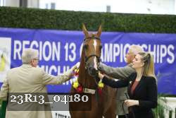 23R13_04180 thumbnail