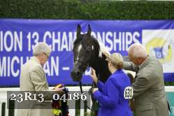 23R13_04186 thumbnail