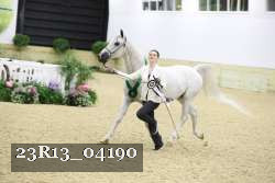 23R13_04190 thumbnail