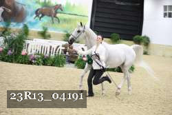 23R13_04191 thumbnail