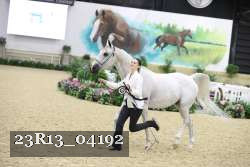 23R13_04192 thumbnail