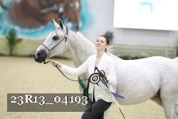 23R13_04193 thumbnail
