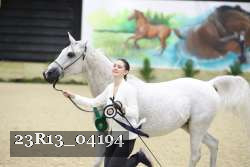 23R13_04194 thumbnail