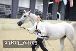 23R13_04195 thumbnail