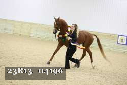 23R13_04196 thumbnail