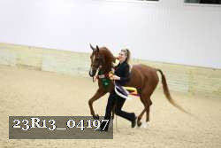 23R13_04197 thumbnail