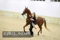 23R13_04198 thumbnail