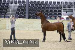 23R13_04244 thumbnail