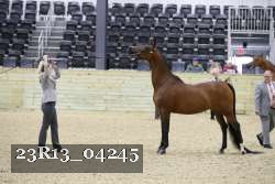 23R13_04245 thumbnail