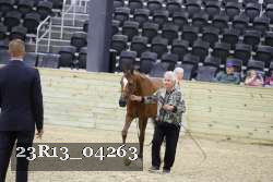 23R13_04263 thumbnail
