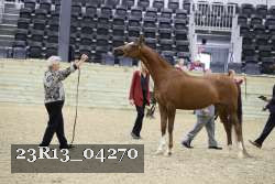 23R13_04270 thumbnail