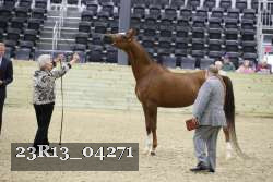 23R13_04271 thumbnail