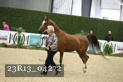 23R13_04272 thumbnail
