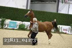 23R13_04273 thumbnail