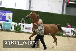 23R13_04274 thumbnail