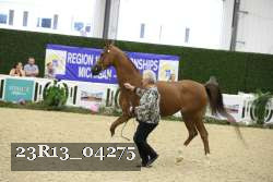 23R13_04275 thumbnail