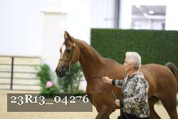 23R13_04276 thumbnail
