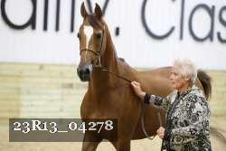 23R13_04278 thumbnail