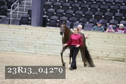 23R13_04279 thumbnail