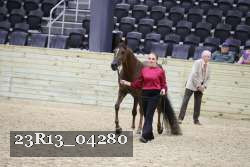 23R13_04280 thumbnail