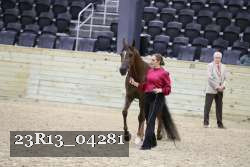 23R13_04281 thumbnail