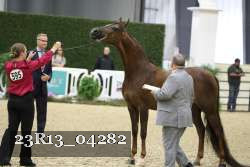 23R13_04282 thumbnail