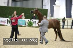 23R13_04283 thumbnail