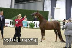 23R13_04284 thumbnail