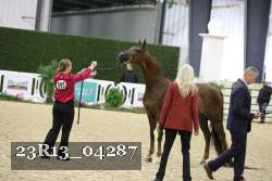 23R13_04287 thumbnail