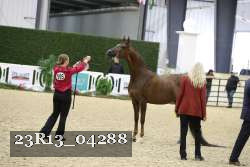 23R13_04288 thumbnail