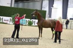 23R13_04289 thumbnail