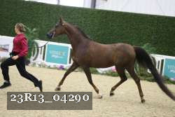 23R13_04290 thumbnail