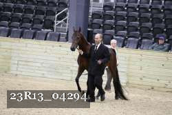 23R13_04294 thumbnail