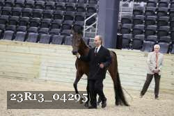 23R13_04295 thumbnail