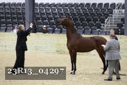 23R13_04297 thumbnail