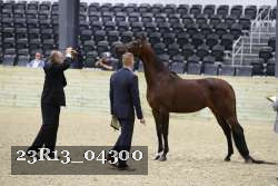 23R13_04300 thumbnail