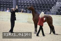 23R13_04301 thumbnail