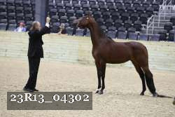 23R13_04302 thumbnail