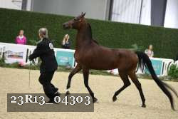 23R13_04303 thumbnail
